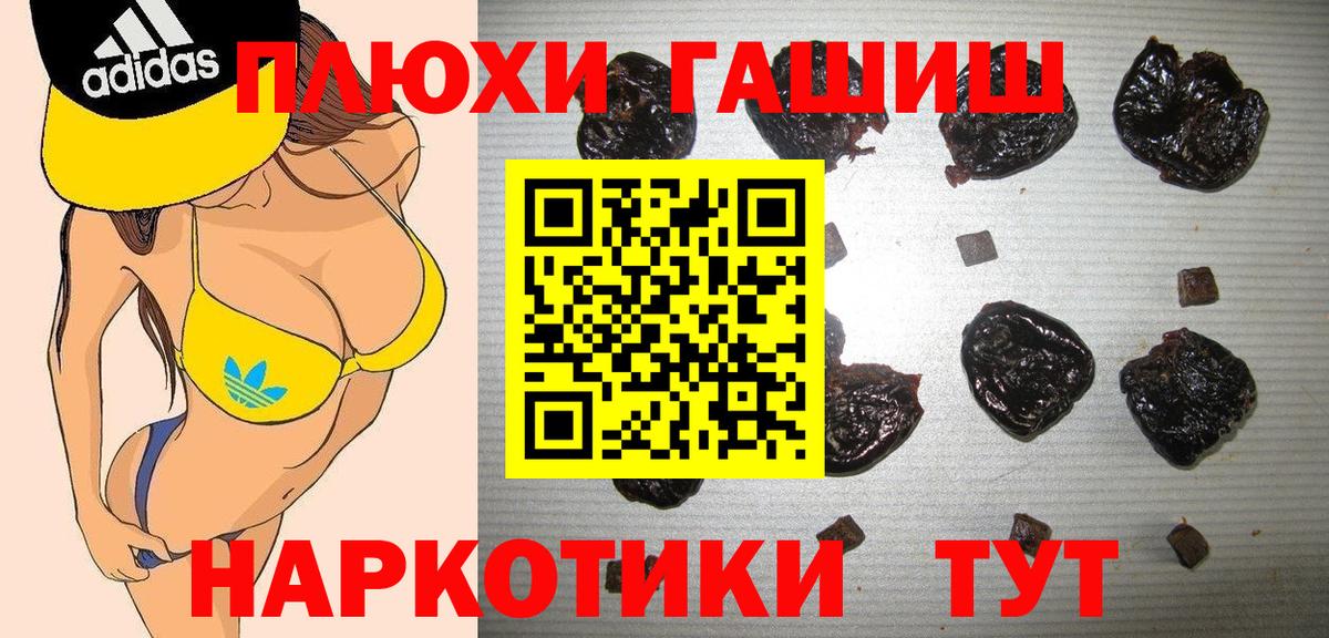 ГАШ Курск