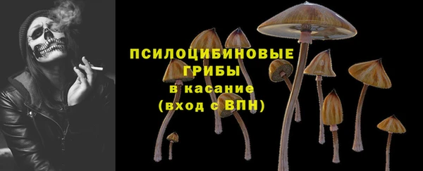 стафф Медвежьегорск