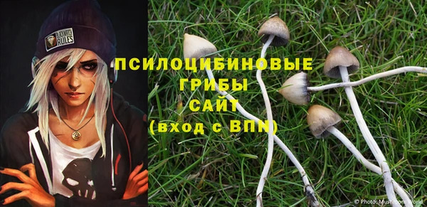 стафф Медвежьегорск
