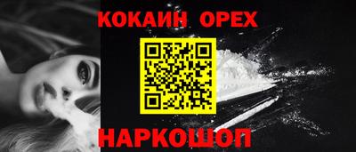 стафф Кингисепп