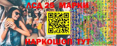 стафф Кингисепп