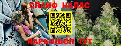 стафф Кингисепп