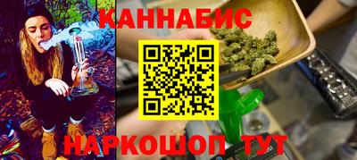 стафф Кингисепп