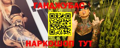 стафф Кингисепп