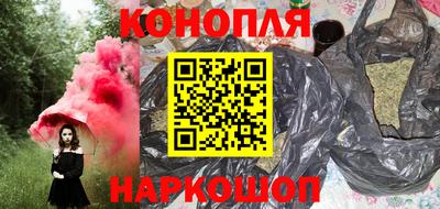 стафф Кингисепп