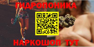 мет Кимры