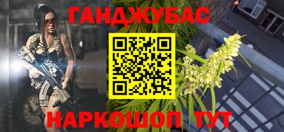 стафф Кингисепп