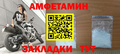 стафф Кингисепп